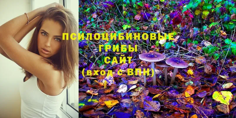 Псилоцибиновые грибы Magic Shrooms  закладки  Суровикино 